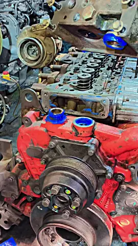 #plzviral🥺🥺🙏🙏foryoupage #plzforyou #plzviralvideo #bdbangladesh #tiktok 