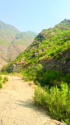 Aw yaw ARMAN yaw me janan dy#foryoupage #greenscreentile💜👌🏼 