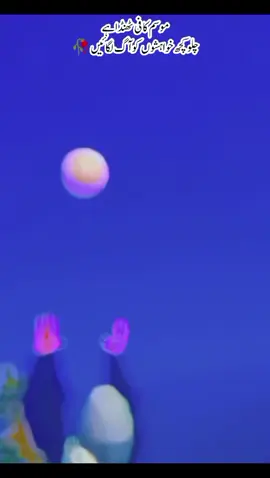 نییدوں سے کہو ہم سے صلح کر لیں  وہ شخص ہی بچھڑ گیا جس کے لیے ہم جگا کرتے تھے 🥀