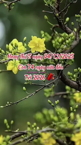 Xuân xuân ơi xuân ơi đến rồi...! Còn 74 ngày nữa đến Tết 2026..!#tet2026#nhacxuan#nhachaymoingay#tetdongday🌸🌸#xuhuongtiktok2025♥️🔥❤️❤️ 
