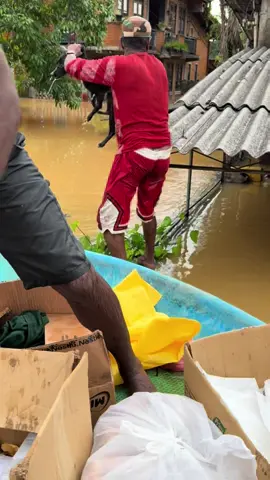 එයාලත් ආසයි ජීවත් වෙන්න 😥 කොල්ලව බේරගත්ත 🥺🥺 #shorts #fyp #foryou #foryoupage #trending 