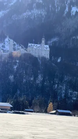 Neuschwanstein Castle, Schwangau, Bavaria, Germany. #neuschwanstein  #bavaria #germany 