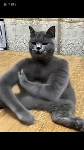 кот пердит и шлепает #котпердит #кот #смешно #смешноевидео