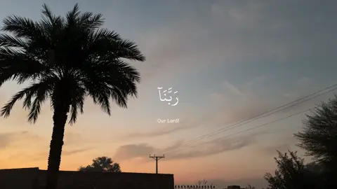 #quran #عبدالرحمن_مسعد 