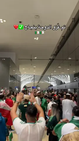 #qatar #doha #algeria #كأس_العرب 