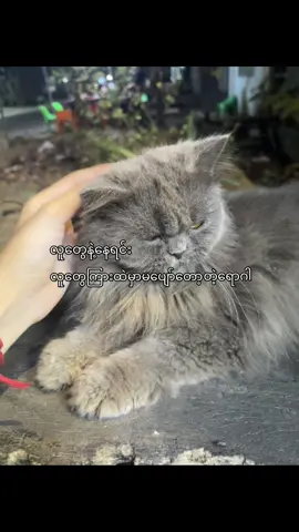 #fyp #fpyyyyyyyyyyyyyyyyyyyyyyy #trendtoday #viewwwwww 