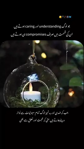 Always soft hearted people have compromises in their fate 👀🥺🖤🌚💯 . . . . #repostrequest #hearttouching #statusvideo #truewords #arainzadi004 