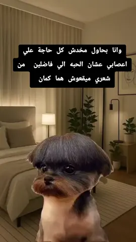 #Meme #MemeCut #CapCut #مشاهير_تيك_توك #الشعب_الصيني_ماله_حل😂😂 