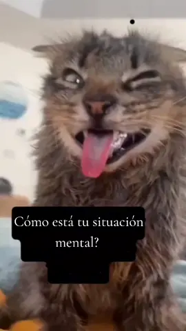 Yo en estos momentos 😆