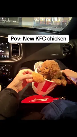 Pov: New KFC chicken #fkfc #fyp 