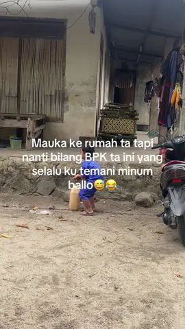 #ballo info cewek BPK nya peminum ballo😀😀😀😁