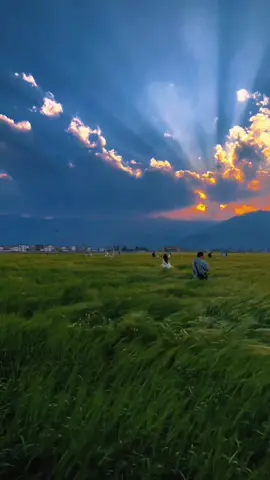 #nature #fypシ #edit 