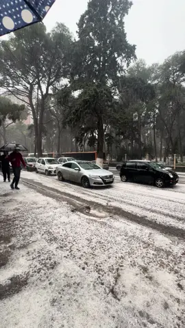 🤍❄️🌨️ #algerie🇩🇿 #snow #wintervibes #algeria #fyp 