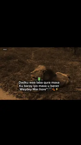 Maxa ubaran weydey mar hore:🤍🍂#foryoupage #viraltiktok #viewsproblem 