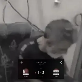 شو انته ضميت راسك بعد روحي 😅🤦## 