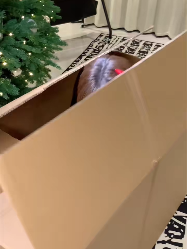 今天打喷嚏 以为你想我了 原来是冬天来了 #trending #xuhuong #myoutfit #outfit #OOTD