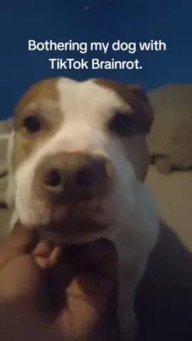 No joke she got upset that I stopped singing afterwards.  #nightmarefreddy #fnaf #pets 