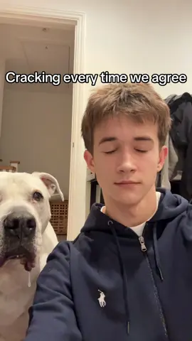 #viral #fyp #jok #dog 