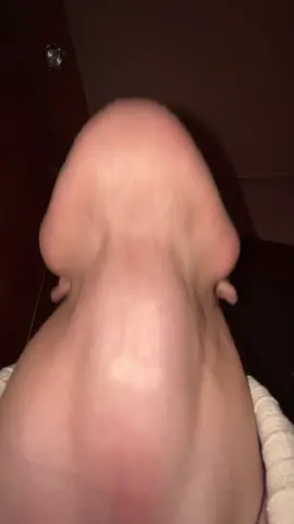 Залетай в тг: Каморка Гарри 