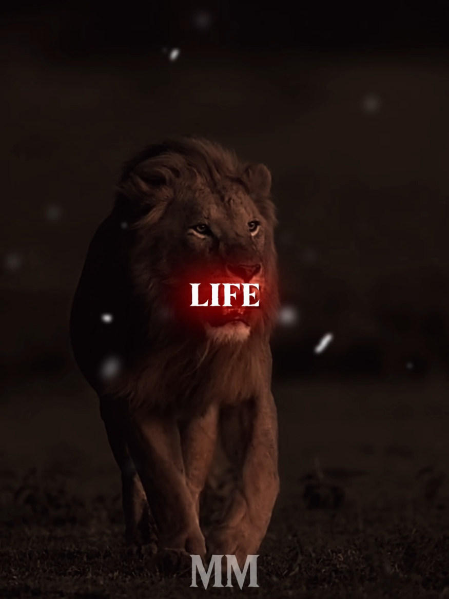 Life is like a book.... #motivationdaily #mindsetmatters #riseandgrind #stayfocused #nevergiveup  