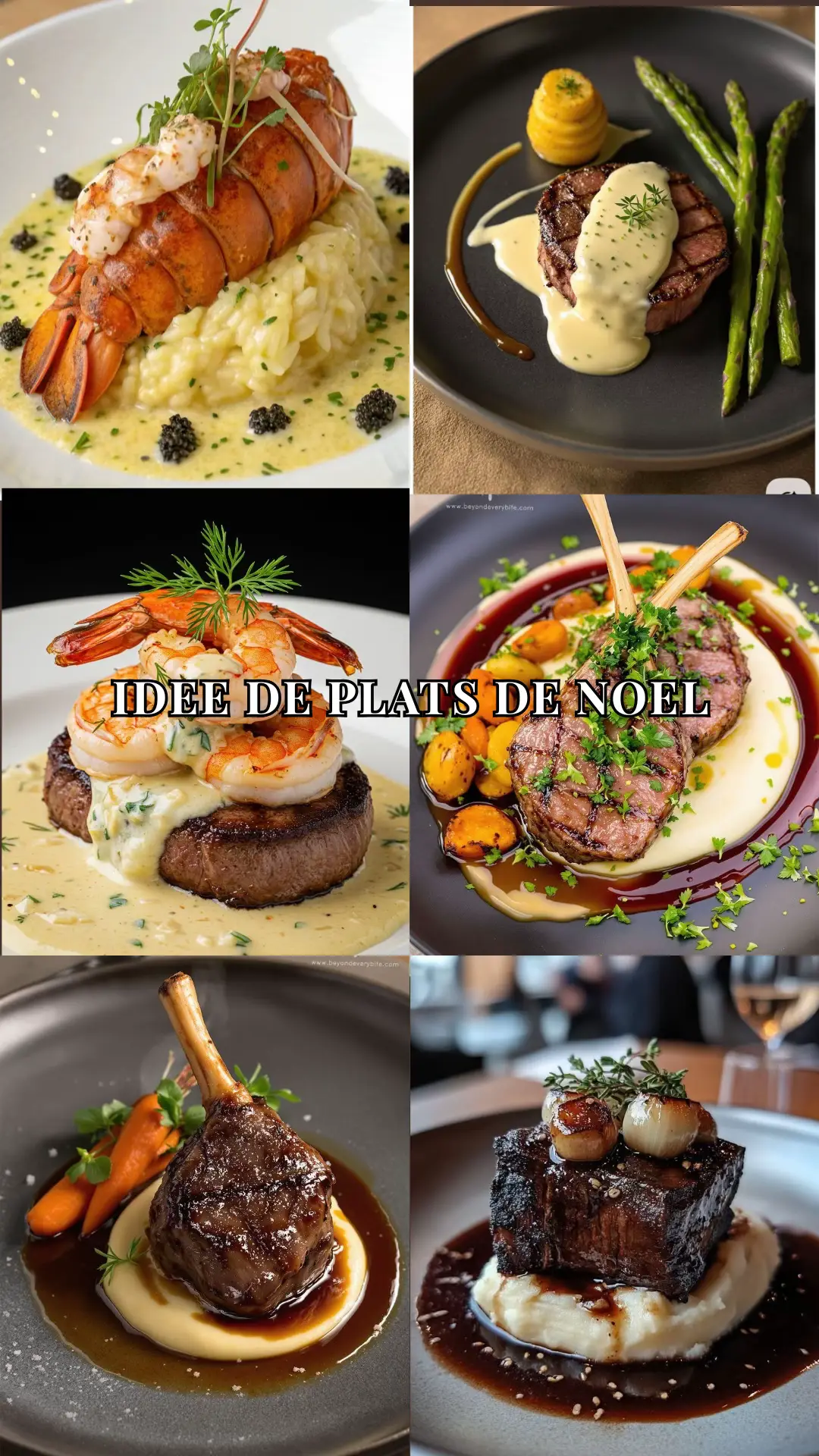 Faites votre choix parmi une sélection de plats savoureux et gourmand  #christmas #ideederecette #repasdenoel #reveillon #creatorsearchinsight 