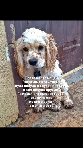 просто видео для репостов, наверное..  #щппродружбу #щппролишнего #грустныещп #щпост #щп 