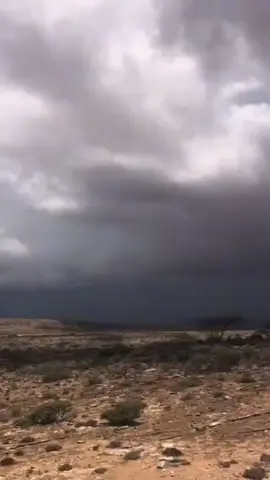 ina aderay...#dhaqandhowr1🐪 #bywillmiyi🐪🐎🐎🐑👩‍🦯✅ #followsoodheh✅️ #hidahadhaqanka🤩🇸🇴 #wabxo💙💚🤍 