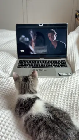 Toro is team Conrad btw 😁 @Jenny Han @the summer i turned pretty @Prime Video Canada 🇨🇦  #thesummeriturnedpretty #tsitp #conradfisher #bellyconklin #primevideocanada 