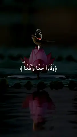 #quran #qu_ran_n #qu_ran_n #qu_ran_nقرآن #quran_alkarim