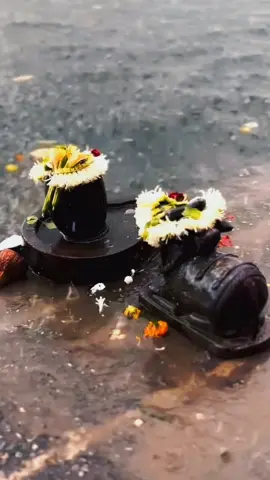 जरूरत जरूरी है जिंदगी के लिए मगर आपसे जरूरी तो जिंदगी भी नहीं...🕉️🙏#ओम_नमः_शिवाय #fypシ゚ #mahadevpremi #foryou #harharmahadev #mahadevblessus🕉❣️😘 