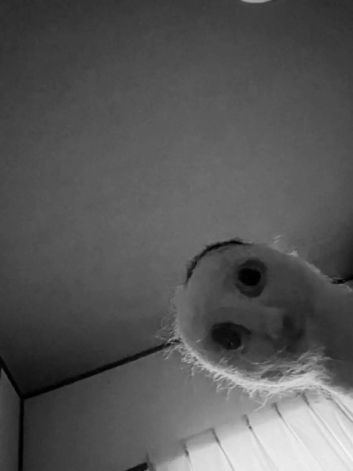 #fypage #foryoupage #2026 