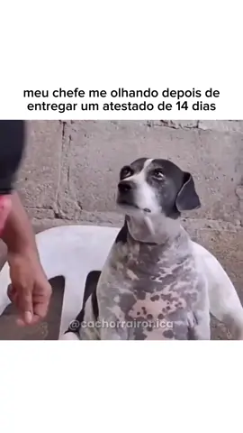 #fyp #humor #memesbr 