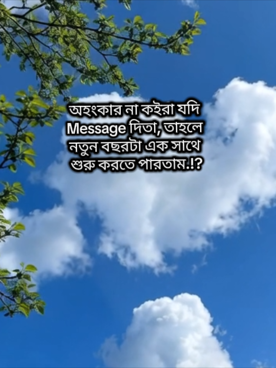 অহংকার না কইরা যদি Message দিতা, তাহলে নতুন বছরটা এক সাথে শুরু করতে পারতাম.!💗🐸