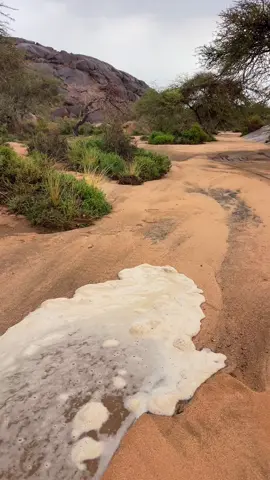 #اكسبلورexplore #اكسبلوررر #M #امطار_الخير #اكسبلور 