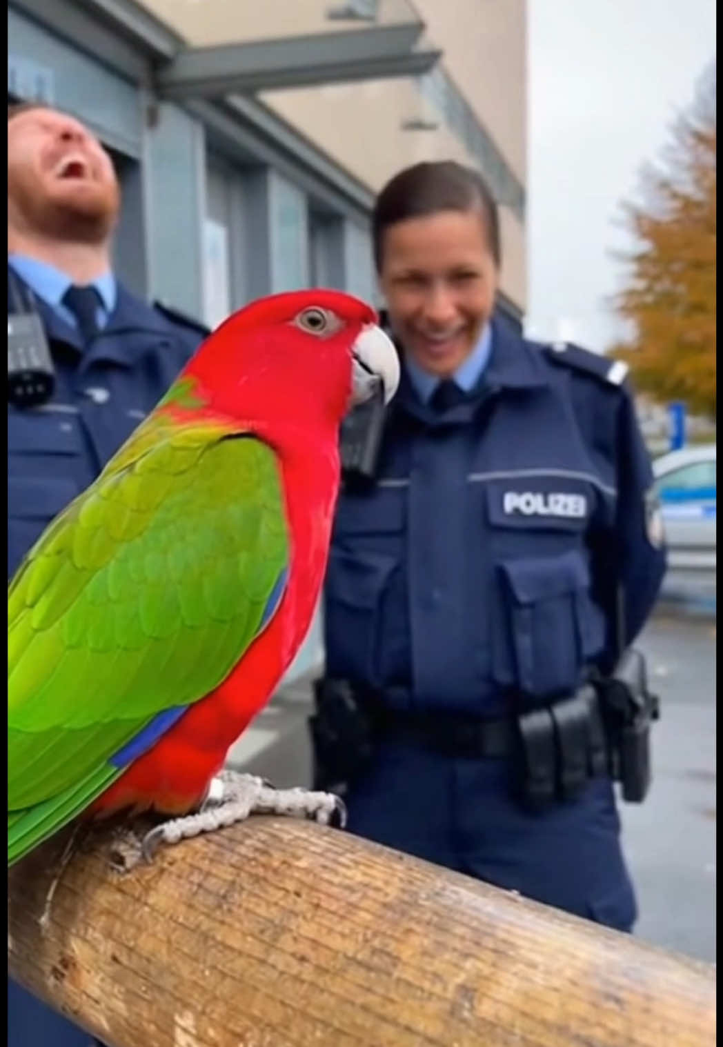 Papagei erzählt Witze 😂 #papagei #polizei #deutsch #fürdich #ki 