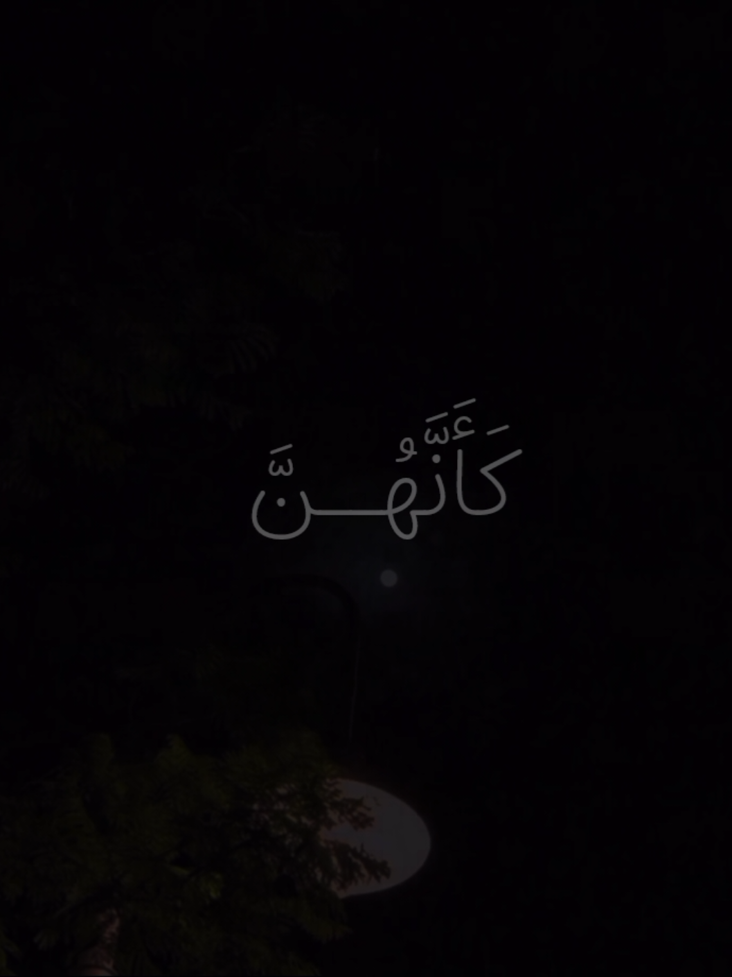 كأنهن الياقوت والمرجان  #ياسر_الدوسري #سورة_الرحمن #كأنهن_الياقوت_والمرجان #قرآن #الشيخ_ياسر_الدوسري 