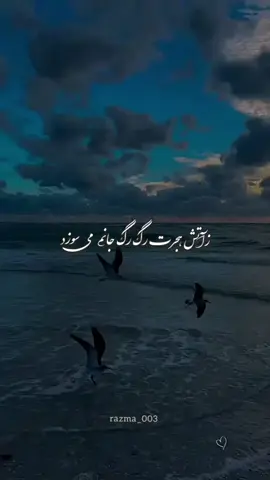 بشنو که دل بی روی تو فریاد برآرد #lyrics_song  #عاشقانه  #غمگین  #دلتنگی  #foryoupage 