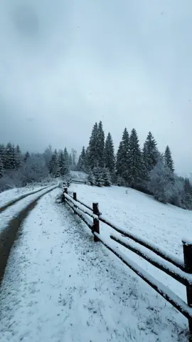 Пісні та відео будуть в телеграм каналі, посилання в шапці профілю🙌 #карпатиукраїна #карпати #подорожі #гори #відпочинок 