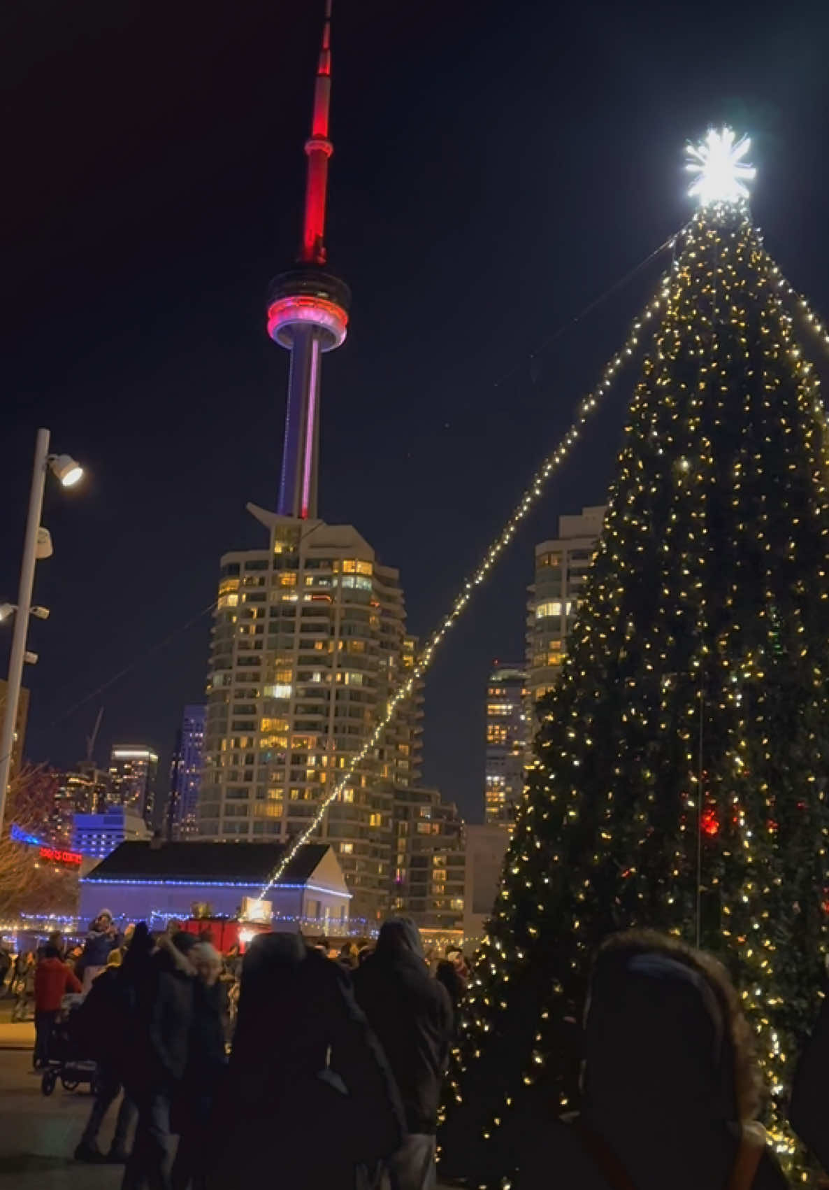 Toronto winter vibes.😍🎄❄️☃️ . . . . #fypviral #toronto #thisiscanada #travelphotography #wintervibes 