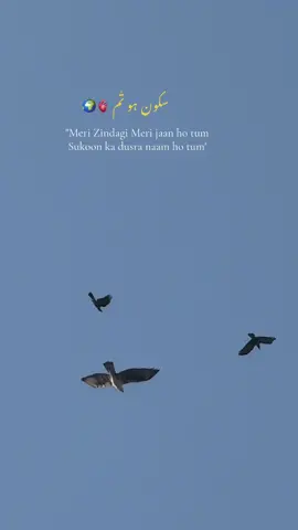 #foryoupage❤️❤️ 