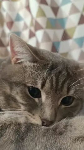 Я хочу уйти из этой семьи 