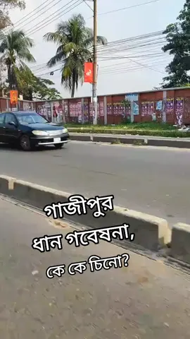 কে কে চিনো? গাজীপুর ধান গবেষনা।  #vairal #gazipur #garments #tiktok #foryou 