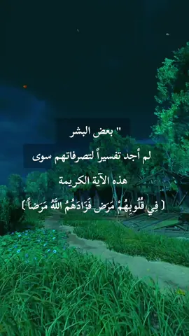 #اقتباسات #مصر #المغرب #الجزائر #فلسطين_لبنان_سوريا_اليمن_مورتانيا 