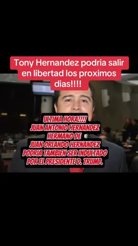 Segun declaraciones de el abogado Raymon Colon Tony Hernandez podria quedar en libertad en Los proximos dias. #tonyhernandez #ultimahora🚨 #indultopresidencial #paratiiiiiiiiiiiiiiiiiiiiiiiiiiiiiii #foryourpage