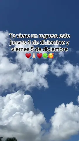 #tarot #trending #lecturadecartas #lecturadetarot #tarotamor 