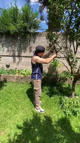 #fypシ゚ #humor #risa 