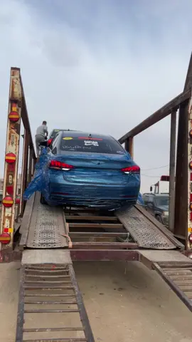 #الشعب_الصيني_ماله_حل😂😂 #ليبيا 