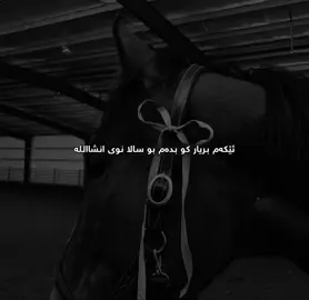 🙌#falsel0ve #dhuke_zaxo_akre_arbil_iraq 