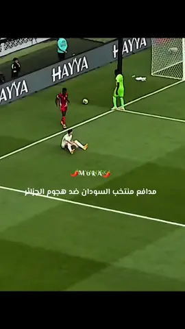 #CapCut #منتخبالسودان🇸🇩🇸🇩 #الجزائر🇩🇿 