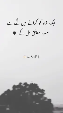 ایک شاہ کو گرانے میں لگے ہے 🖤🥸#sh_sahib #unfrezzmyaccount 
